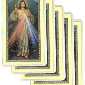 Amazing Saints The Chaplet of the Divine Mercy Laminated Holy Card Set of 5