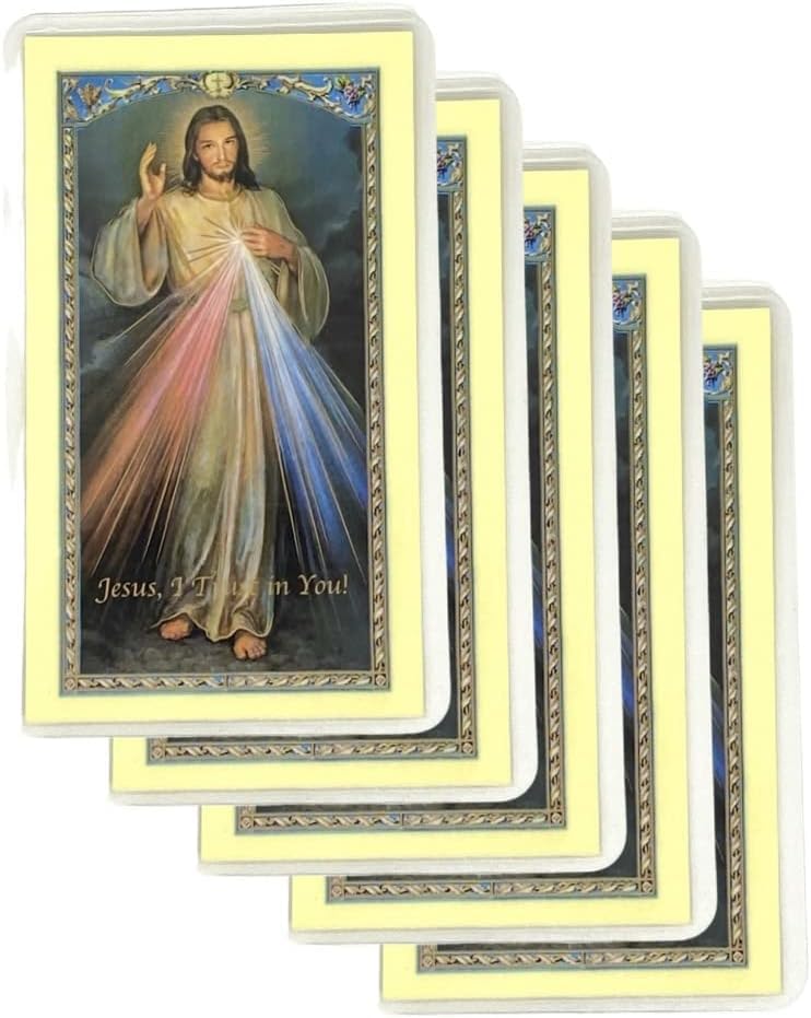 Amazing Saints The Chaplet of the Divine Mercy Laminated Holy Card Set of 5