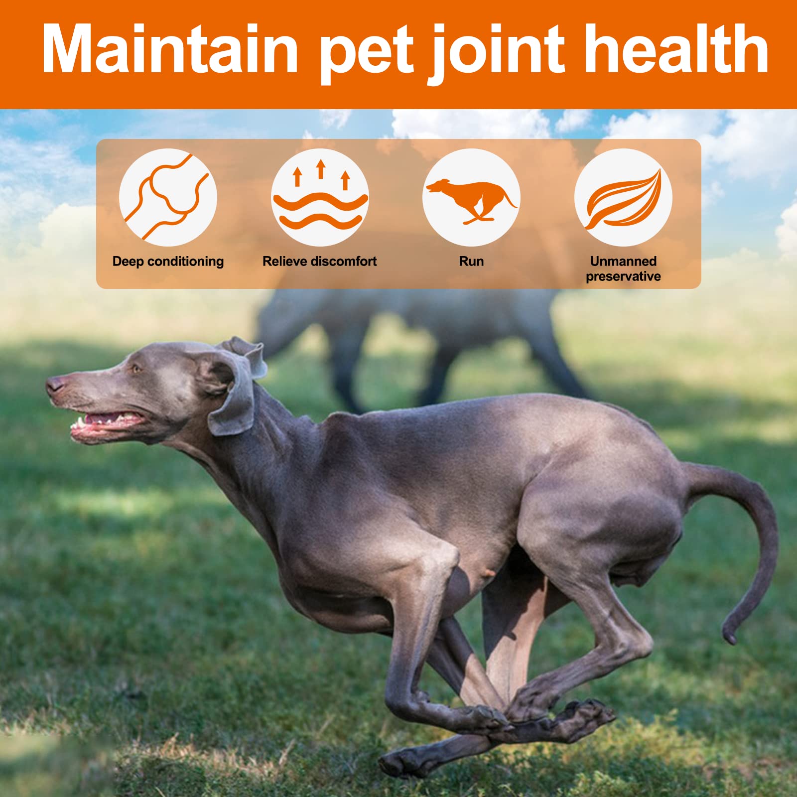 MXCZBSM Hemp Hip and Joint Supplement for Dogs, 150 Dog Joint Pain Relief Treats, Glucosamine for Dogs, Hip & Joint Supplement w/MSM + Chondroitin + Omega 3, Mobility & Flexibility Support