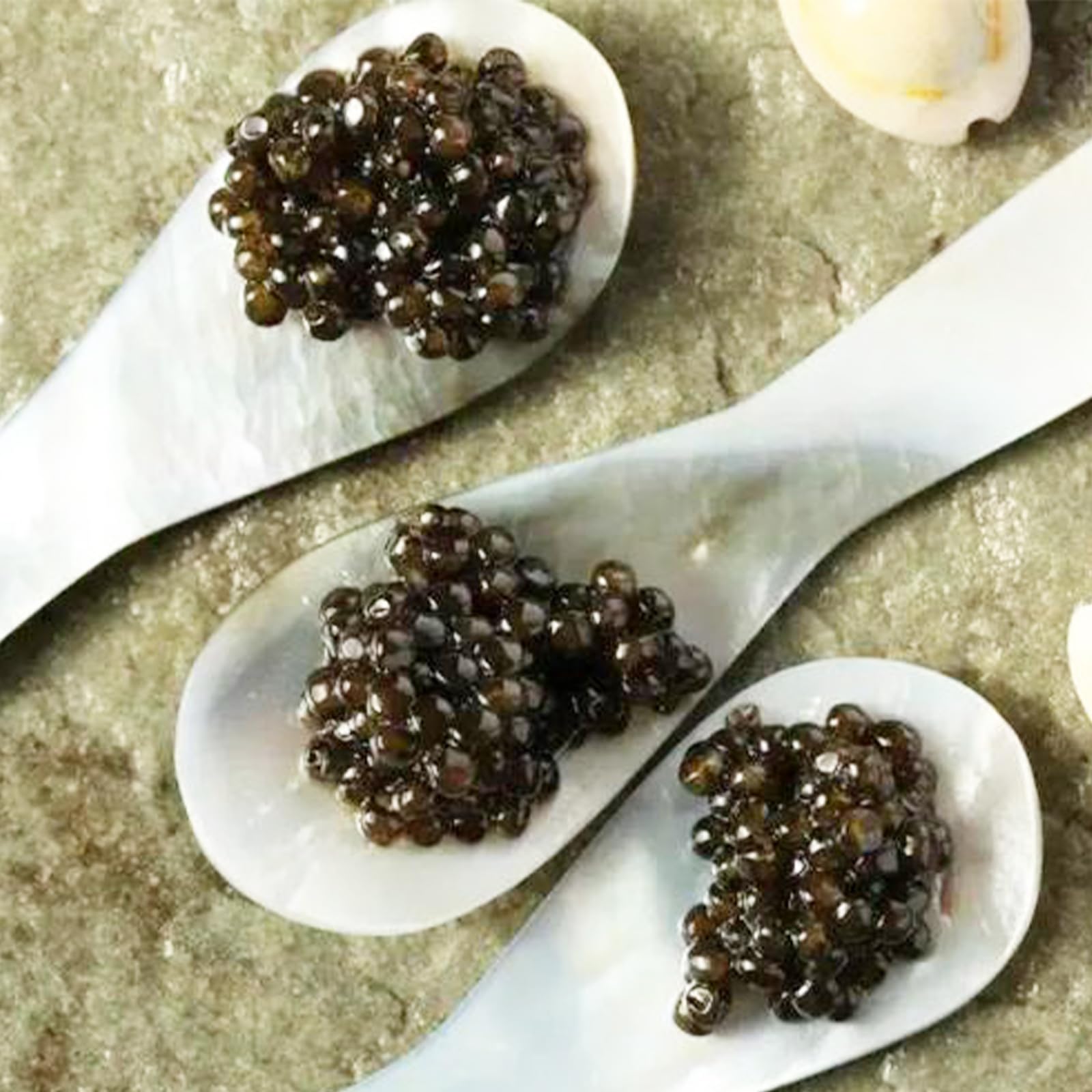 Caviar serving set - Caviar Spoons - Mother of Pearl Spoon Set with Gift Box Packaging - Serving Caviar Eggs and Dessert