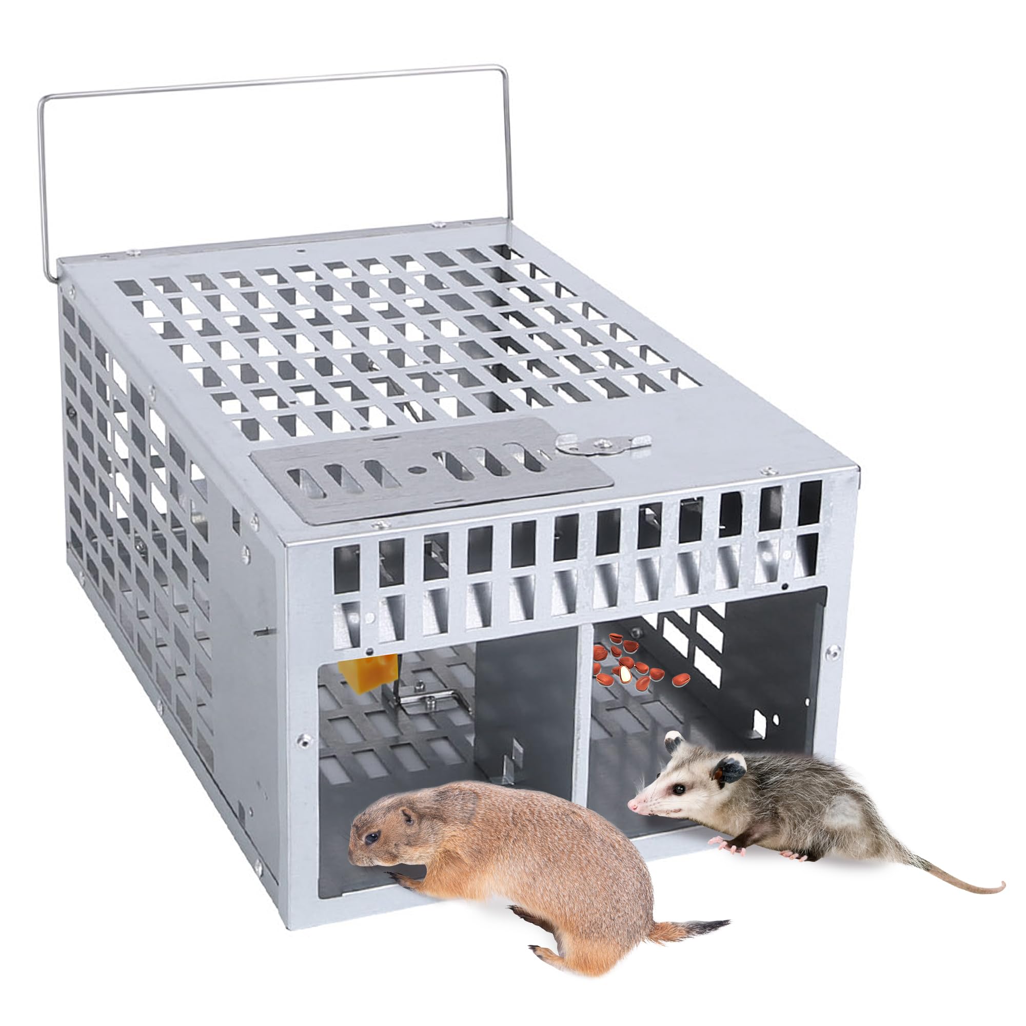 Moclever Humane Rat Trap Live Rat Traps Reusable Metal Rat Rodent Cage Catch Release Continuous Capture Trap 2 Doors Indoor Outdoor Pet Children Safe-11.4 * 7.4 * 5.1in