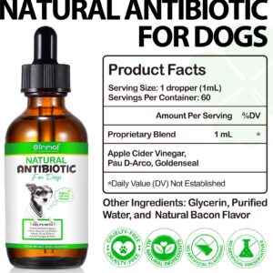 Antibiotics for Dogs, Natural Antibiotic for Dog Allergy and Itch Relief, Dog Multivitamin Pet Antibiotics Helps Support a Healthy Immune System, Dog Allergy Support (1 Pack)