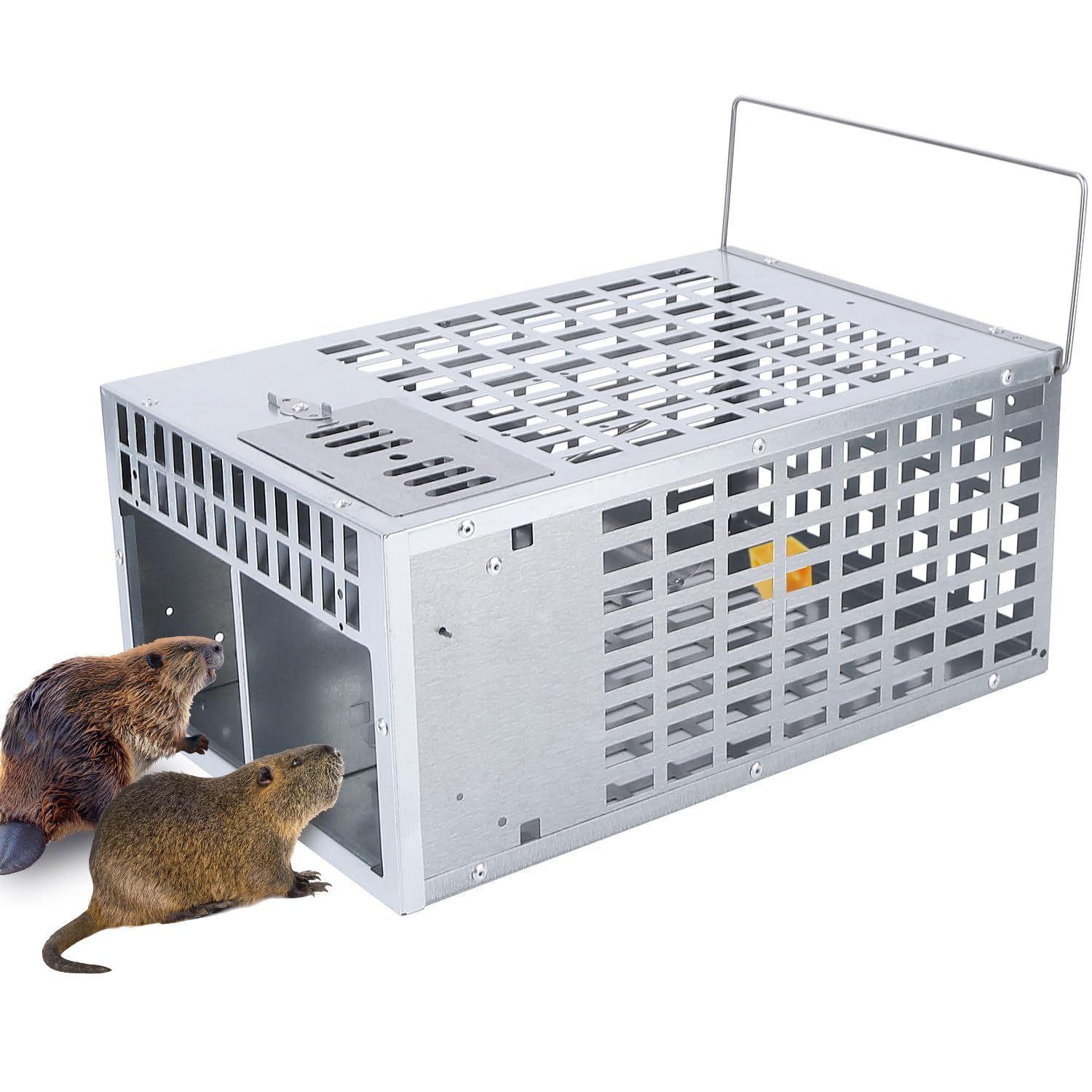 Moclever Humane Rat Trap Live Rat Traps Reusable Metal Rat Rodent Cage Catch Release Continuous Capture Trap 2 Doors Indoor Outdoor Pet Children Safe-11.4 * 7.4 * 5.1in