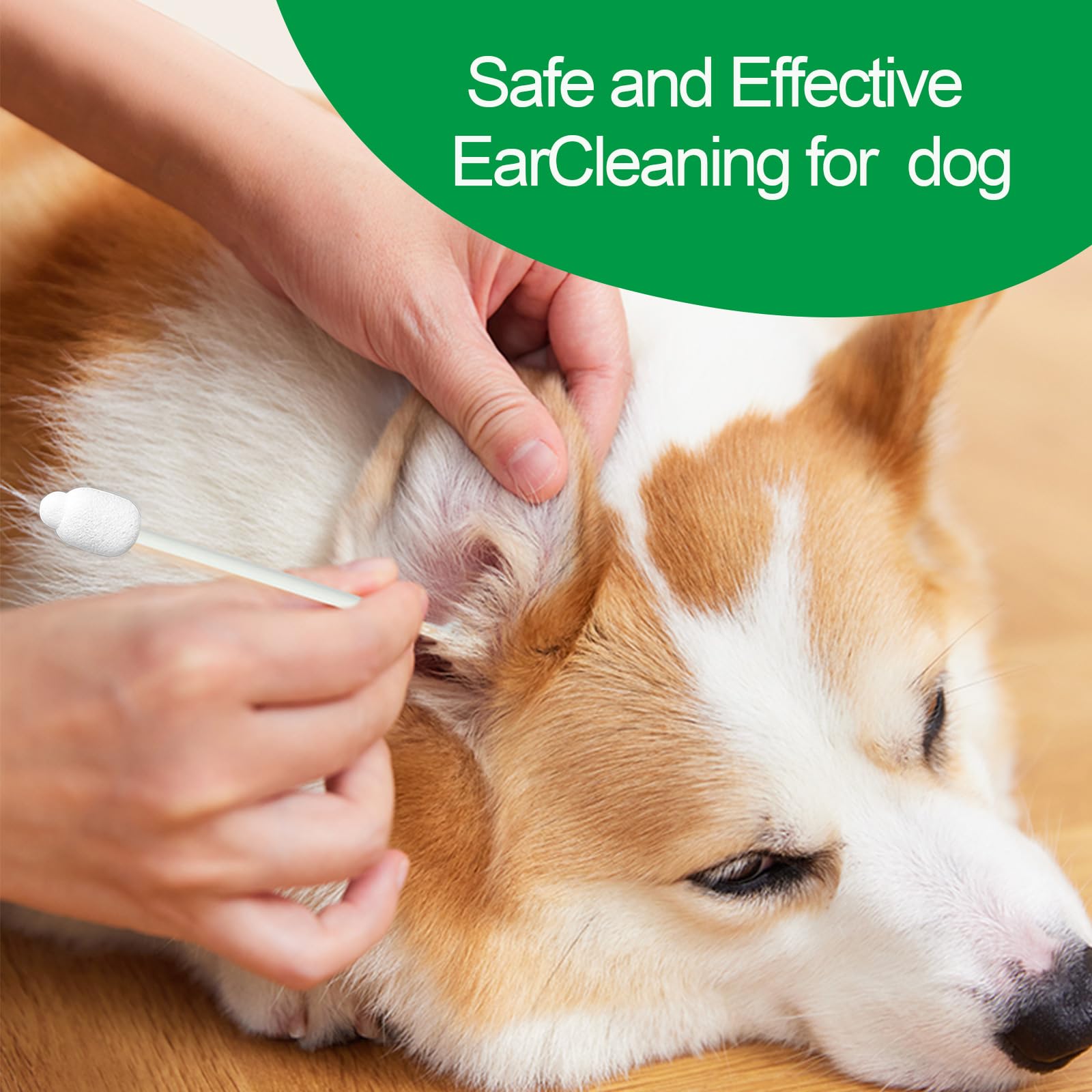 Professional Dog Ear Cleaning swabs - for All Breeds and Sizes of Dogs to take Care of Ear Cleaning to Effectively Prevent Accidental Injuries.. (L)