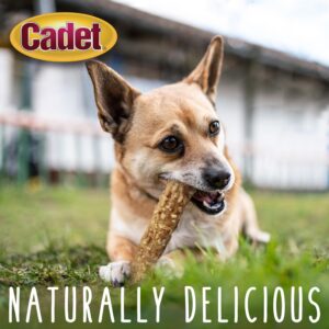 Cadet Smart Hide Rawhide Free Dog Treats – Peanut Coated, 2 Count