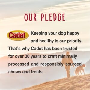 Cadet Smart Hide Rawhide Free Dog Treats – Peanut Coated, 2 Count