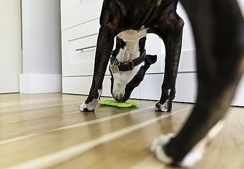 Pet Naturals Calm and Busy Pack with 6 Pouches of BusyButter Calming Peanut Butter and Premium Lick Mat with Suction Cups