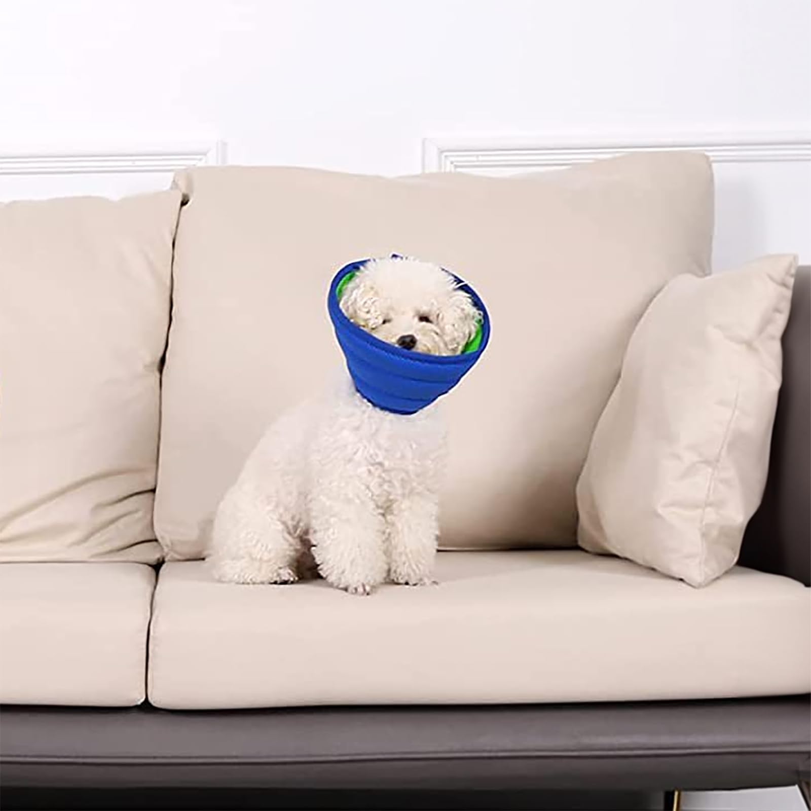 Soft Dog Cone Collars for Small Medium Dogs, Lightweight Recovery Elizabethan Collar for Dog After Surgery, Comfortable Soft Material Adjustable Pet Cone Washable (Neck: 11''-14'')