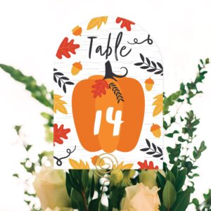 Big Dot of Happiness Fall Pumpkin - Halloween or Thanksgiving Party Double-Sided 5 x 7 inches Cards - Table Numbers - 1-20