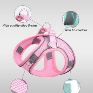 Solmoony Dog Harness for Small Medium Large Dogs No Pull, Puppy Harness and Leash Set, Puppy Harness for Small Dogs, Step in Harness for Small Dogs, Small Dog Harness, mesh Dog Harness. (Pink, XS)