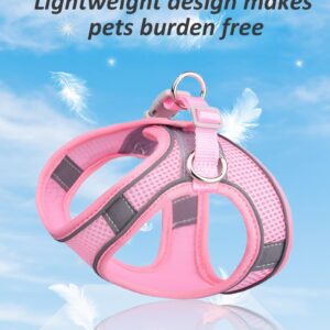 Solmoony Dog Harness for Small Medium Large Dogs No Pull, Puppy Harness and Leash Set, Puppy Harness for Small Dogs, Step in Harness for Small Dogs, Small Dog Harness, mesh Dog Harness. (Pink, XS)