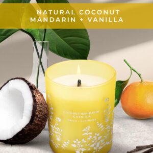 Coconut Mandarin and Vanilla Wood Wick Scented Candle | Big Candle for Home Decor 10.6 oz Scented Soy Candle, Relaxing Candles for Women and Men, Aromatherapy Candle Gift