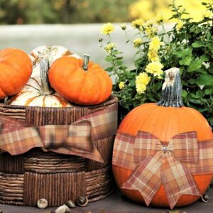 Hying Fall Ribbons for Wreath Bows Wrapping Gifts, Linen Plaid Orange Harvest Ribbon for Gift Wrapping Thanksgiving Party Fall Decoration Crafts, 2.5" X 10 Yards Autumn Thanksgiving Wired Edge Ribbon