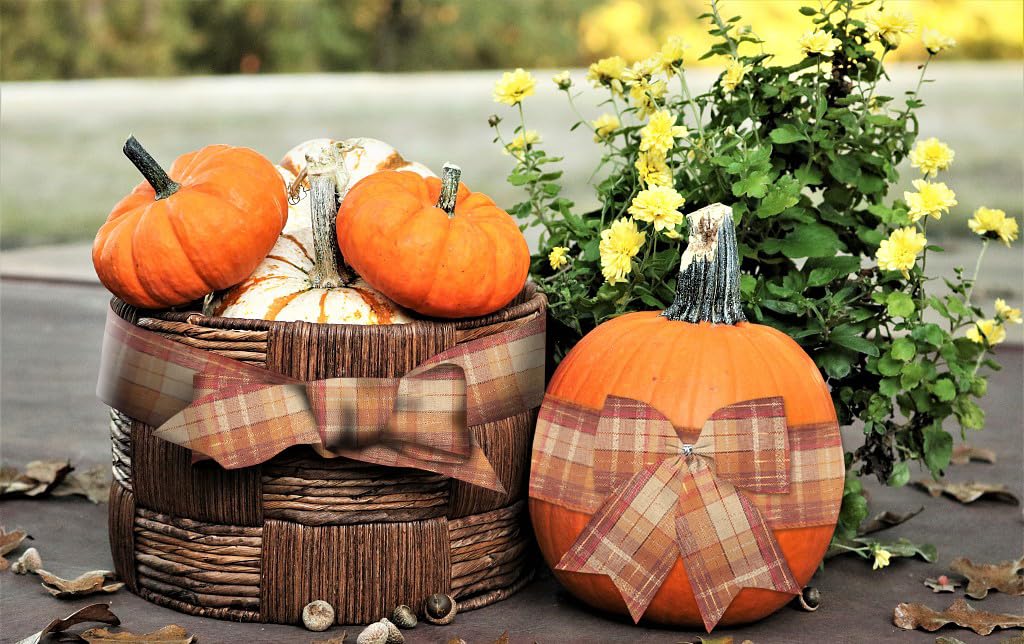 Hying Fall Ribbons for Wreath Bows Wrapping Gifts, Linen Plaid Orange Harvest Ribbon for Gift Wrapping Thanksgiving Party Fall Decoration Crafts, 2.5" X 10 Yards Autumn Thanksgiving Wired Edge Ribbon