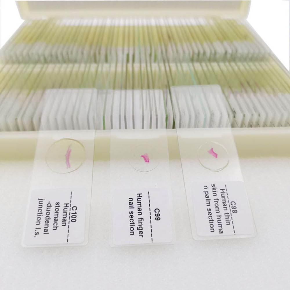 Set of 100 Microscope Prepared Typical Histology Slides for Medical Studay Education Teaching (Human Histology Slides Set (Export Standard)