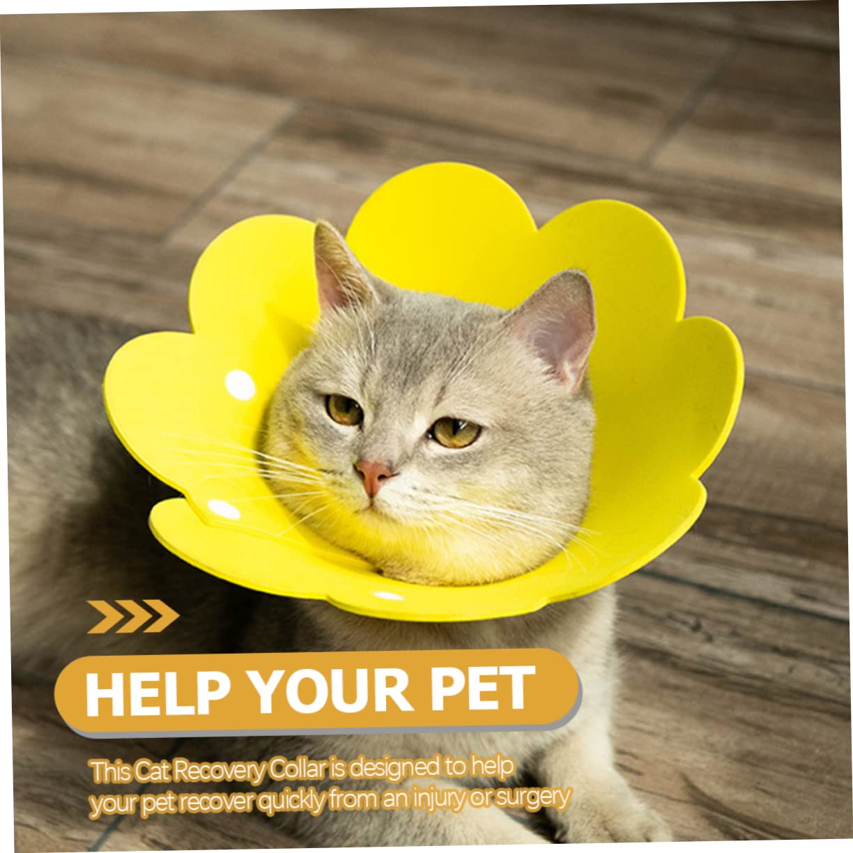 Balacoo 10 Pcs Sponge cat Headgear Chocker cat Cone Collar Soft cat Neck Collar Soft cat Cone cat Cones to Stop Licking Small cat Collar Decorative pet Neck Collar The cat eva pet Ball