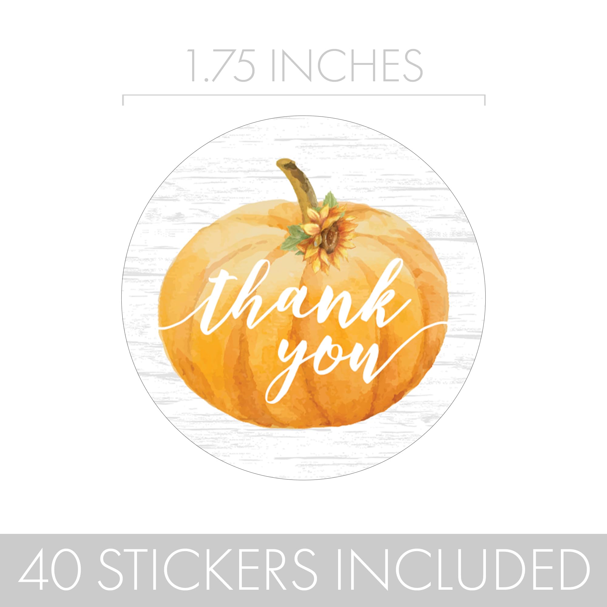 Orange Little Pumpkin Baby Shower Fall Thank You Stickers, Envelope Seals, Favor Bag Labels - 40 Count