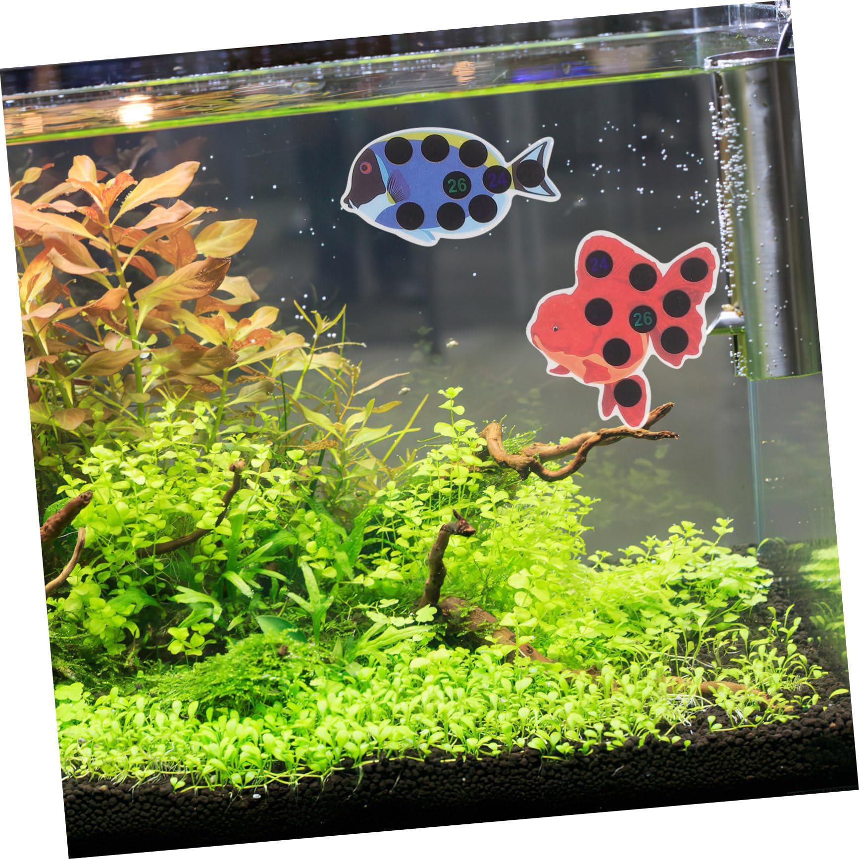 ULTECHNOVO 5 Sets LCD Thermometer Sticker by Numbers Aquarium Thermometer Color Stickers Cartoon Stickers Terrarium Water Temperature Tester Aquarium Sticker Fish Tank Liquid Crystal Paper