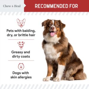 Omega for Dogs - 180 Delicious Soft Chews - Salmon Oil Treats for Skin and Coat, Itch Relief - Fish Oil Blend of Essential Fatty Acids, Omega 3, 6, and 9, and Vitamins - Smoked Bacon Flavor