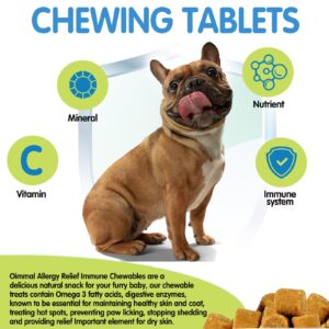 Allergy Relief Dog Treats w/Omega 3 + Pumpkin + Enzymes, Dog Allergy Relief Chews, Itch Relief for Dogs, Anti-Itch Treats - Skin & Coat + Immune Digestive Supplement