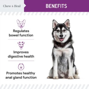 Stop The Scoot Fiber for Dogs - 120 Soft Chews with Pumpkin Powder for Healthy Anal Gland Function - Vet Recommended, Made in The USA