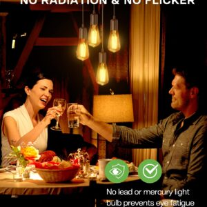 Edison LED Light Bulbs, 6W Equivalent 60W, Warm White 2700K, Non-Dimmable, 600LM, 85+CRI, ST58 Vintage Clear Glass Filament Light Bulbs, E26 Medium Base, Pack of 12