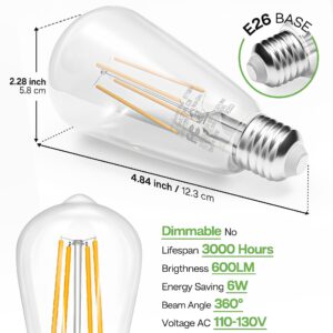 Edison LED Light Bulbs, 6W Equivalent 60W, Warm White 2700K, Non-Dimmable, 600LM, 85+CRI, ST58 Vintage Clear Glass Filament Light Bulbs, E26 Medium Base, Pack of 12