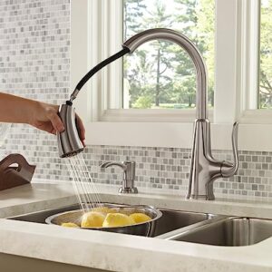 Pfister Pasadena Kitchen Faucet with Pull Down Sprayer and Soap Dispenser, Single Handle, High Arc, Stainless Steel Finish, F5297PDS