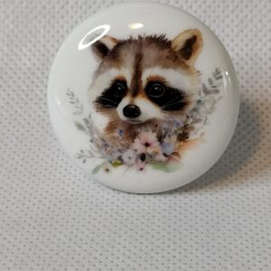 Watercolor Spring Baby Animals by DC DECORATIVE Ceramic Dresser Drawer PULLS Cabinet Cupboard KNOBS (0017 Raccoon)