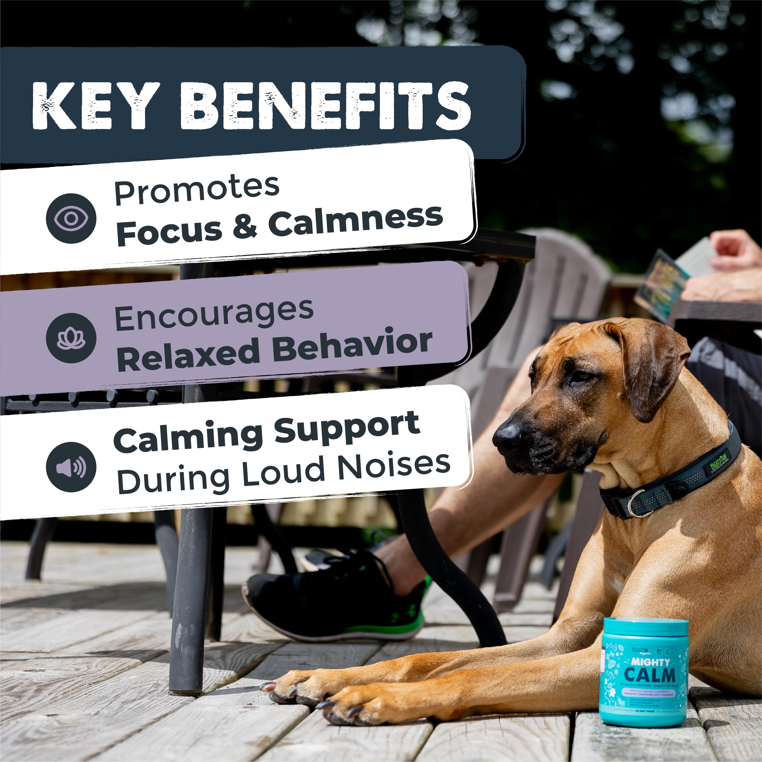 Mighty Paw Waggables Calm (Made in The USA) | Calming Chews for Dogs, Melatonin Dog Calming Treats for Normal Stress & Separation. Sleeping Aid for Dogs & Behavior Calming Dog Treats,120 Count