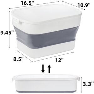 Pumtus 2 Pack Collapsible Storage Bins with Lid, 20 QT Large Plastic Foldable Organizer Boxes, Stackable Organizing Container Baskets with Secure Buckles, Organization Tote Tub for for Garage, Closet