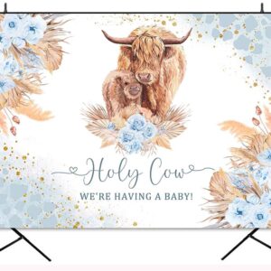 Ayayiya Highland Cow Baby Shower Backdrop Boy Holy Cow We are Having a Baby Farm Cow Party Decorations Boho Blue Highland Cattle Baby Shower Backdrops Cake Table Banner Photography Backdground 7x5ft