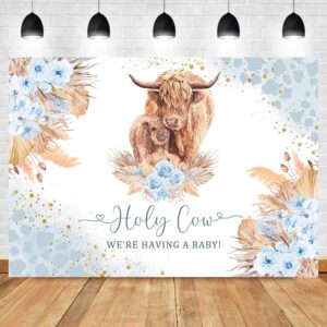 Ayayiya Highland Cow Baby Shower Backdrop Boy Holy Cow We are Having a Baby Farm Cow Party Decorations Boho Blue Highland Cattle Baby Shower Backdrops Cake Table Banner Photography Backdground 7x5ft