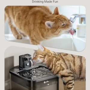 DownyPaws Battery Operated Cat Water Fountain, 84oz/2.5L Fursink Wireless Pet Water Fountain for Cats Inside, Automatic Cat Waterer Fountain with Motion Sensor, Ultra Quiet Pump, BPA-Free, Black