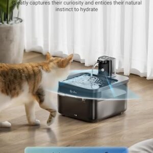 DownyPaws Battery Operated Cat Water Fountain, 84oz/2.5L Fursink Wireless Pet Water Fountain for Cats Inside, Automatic Cat Waterer Fountain with Motion Sensor, Ultra Quiet Pump, BPA-Free, Black