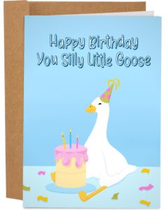 sleazy greetings funny birthday card for him her | happy birthday cards for women men | silly goose birthday card for husband wife | happy birthday you silly little goose card