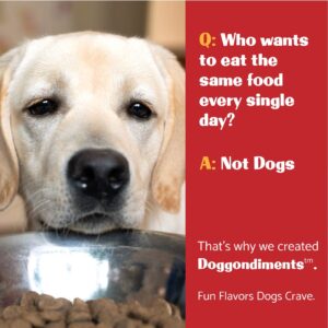 Doggondiments Drive-Thru Fries