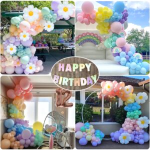 Slmeno Pastel Balloons 219Pcs Pastel Balloon Garland Kit Different Sizes 18 10 5 Inch Pastel Rainbow Balloons Daisy Balloons, First Birthday Decorations for Girl Baby Shower Party Balloons Arch Kit