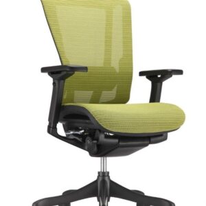 Raynor Nefil Elite Smart Motion Mesh Chair