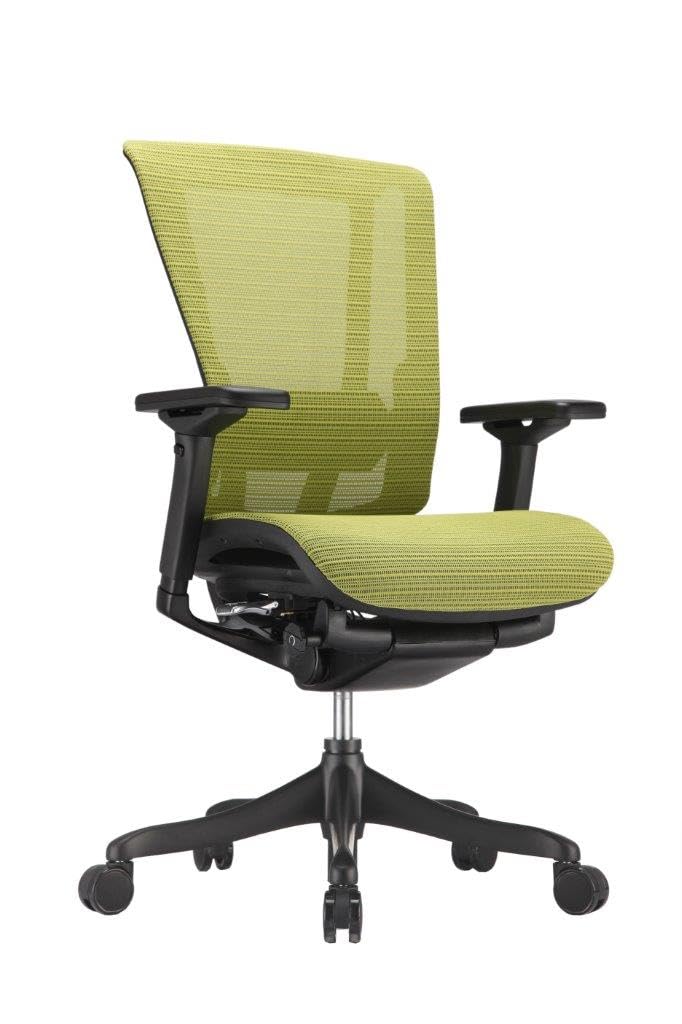 Raynor Nefil Elite Smart Motion Mesh Chair