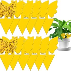 Adawook 24pcs Sticky Traps, Fruit Fly Traps for Indoors, Gnat Sticky Traps for House Plant, Fruit Fly, Whitefly, Fungus Gnat,and Bugs, Yellow