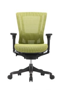 raynor nefil elite smart motion mesh chair