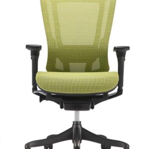 Raynor Nefil Elite Smart Motion Mesh Chair