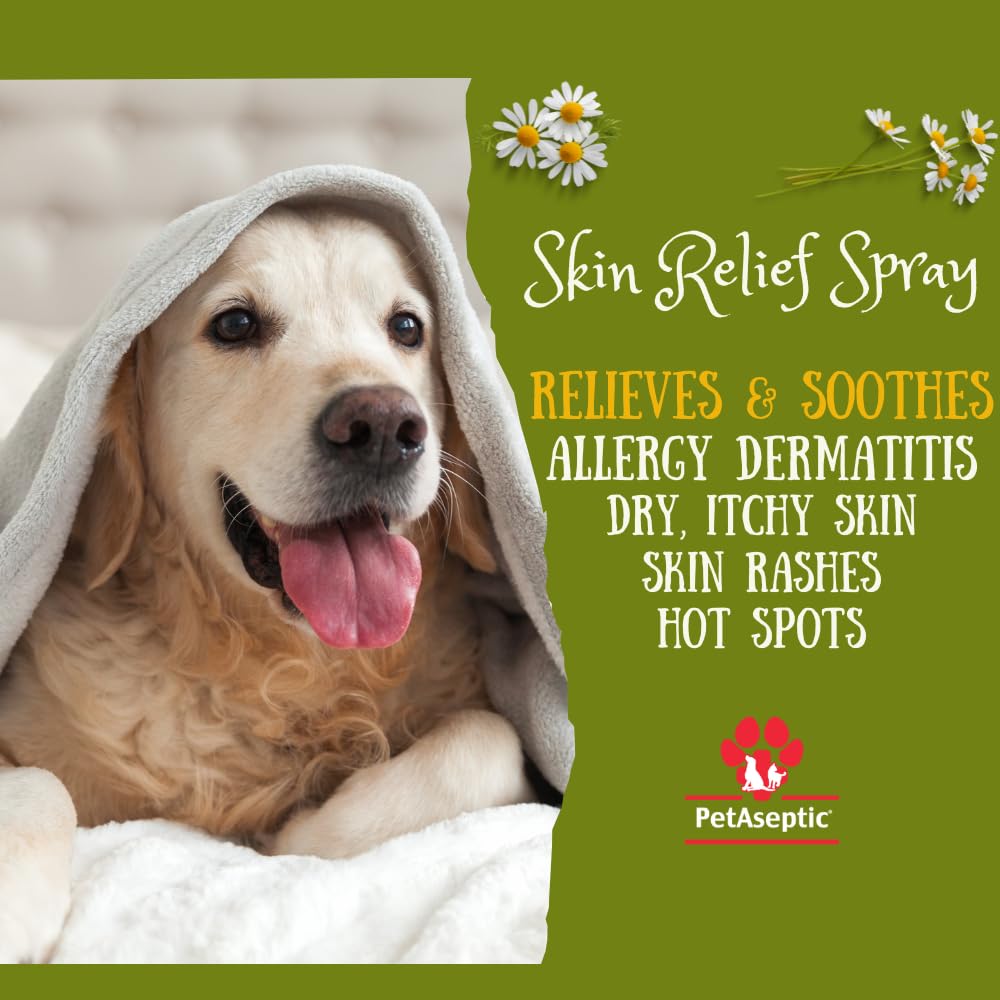 PetAseptic Skin Relief Spray for Dogs | Relieves Dry Itchy Skin, Hot Spots, Dandruff, Allergy Dermatitis, & Skin Rashes | Clear, Stainless, & Greaseless | Provides Fast, Temporary Relief | 4oz Spray