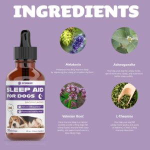 Dog Sleep Aid | Sleep Aid for Dogs | Promotes Healthy, Restful Sleep in Dogs | Melatonin for Dogs | | Dog Calming | Calming for Dogs | Dog Melatonin | Dog Anxiety Relief | 1 fl oz: Bacon Flavor