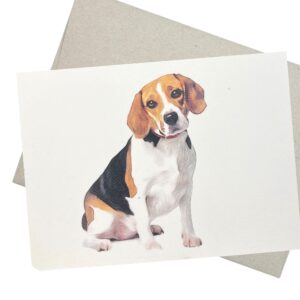 groomers margins beagle birthday card (5x7 inch, blank inside) for miss you, thinking of you, dog thank you cards- 245