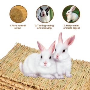 MUYG Rabbit Grass Mat,Grass Mats for Rabbits Bunny Natural Straw Woven Bed Small Animal Hay Matt Sleeping, Chewing, Nesting and Toys for Guinea Pig Hamster and Rat Bed Mat (6 Pcs)