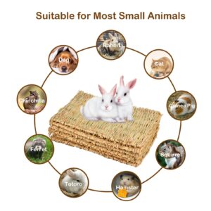 MUYG Rabbit Grass Mat,Grass Mats for Rabbits Bunny Natural Straw Woven Bed Small Animal Hay Matt Sleeping, Chewing, Nesting and Toys for Guinea Pig Hamster and Rat Bed Mat (6 Pcs)