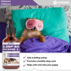 Dog Sleep Aid | Sleep Aid for Dogs | Promotes Healthy, Restful Sleep in Dogs | Melatonin for Dogs | | Dog Calming | Calming for Dogs | Dog Melatonin | Dog Anxiety Relief | 1 fl oz: Bacon Flavor