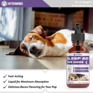 Dog Sleep Aid | Sleep Aid for Dogs | Promotes Healthy, Restful Sleep in Dogs | Melatonin for Dogs | | Dog Calming | Calming for Dogs | Dog Melatonin | Dog Anxiety Relief | 1 fl oz: Bacon Flavor